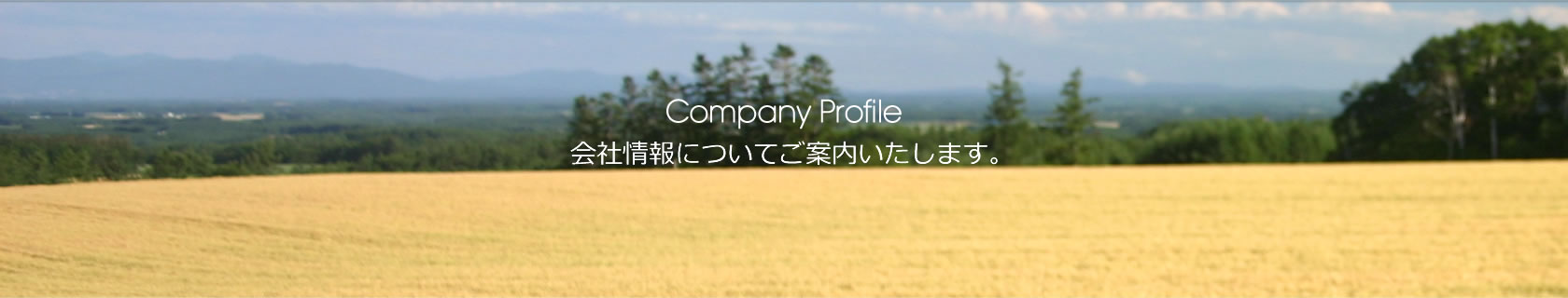 会社情報についてご紹介いたします。