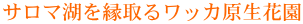 T}΂ӂǂ郏bJԉ