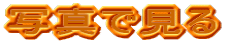 ʐ^Ō