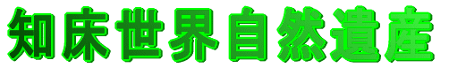 ʐ^Ō